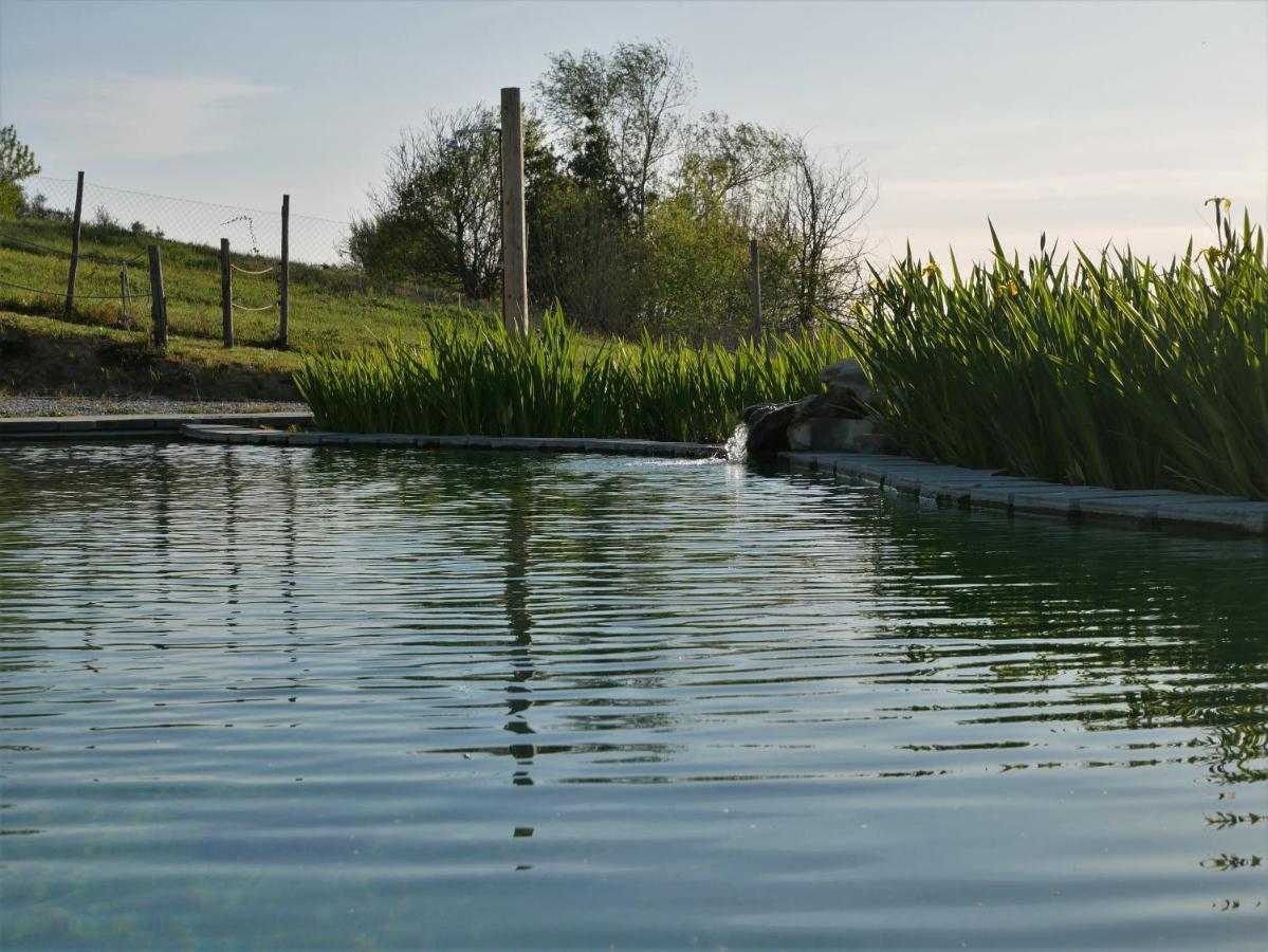 Agriturismo Villa Adimari Cerreto Guidi Buitenkant foto