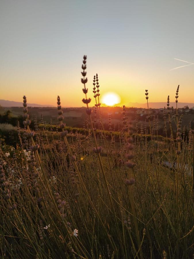 Agriturismo Villa Adimari Cerreto Guidi Buitenkant foto